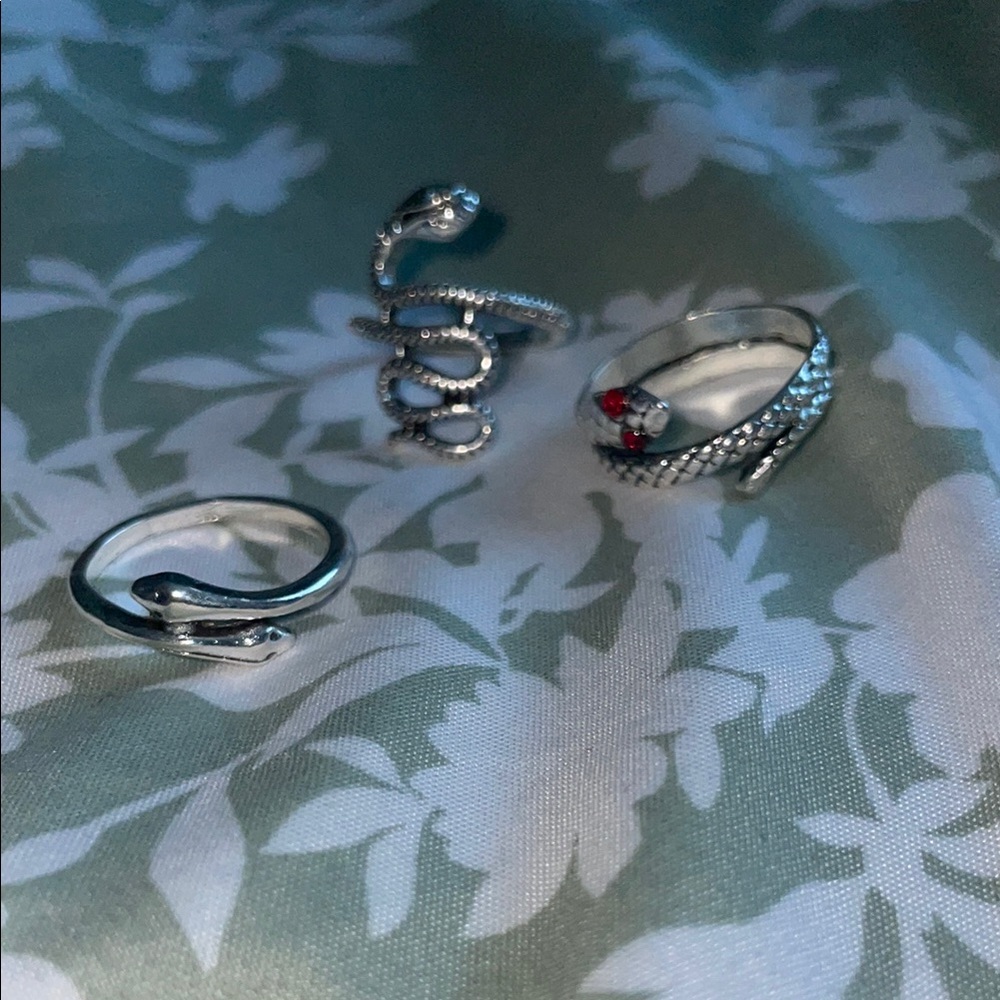 Silver Snake Ring Set